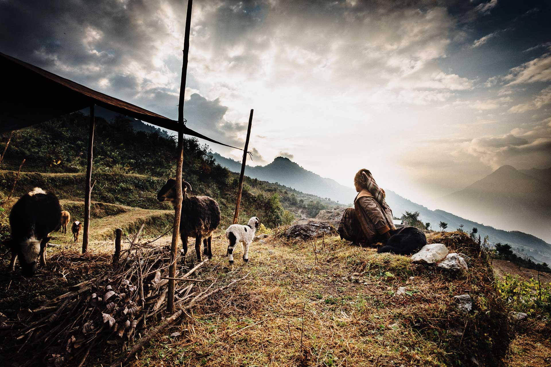 Whilst the needs of the population increase, so does the altitude at which animals can graze and as a consequence, fire wood can be cut. Animal shelters are moved along the graze every two or three days.